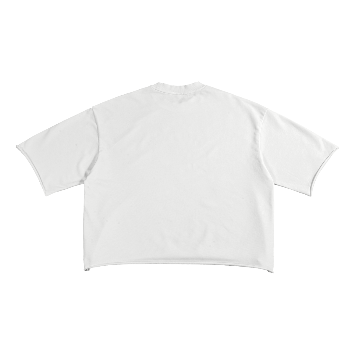 Embroidered French Terry Raw Edge T-Shirt