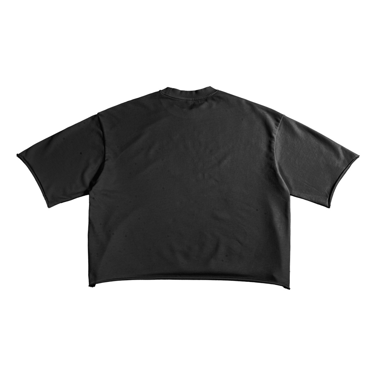 Embroidered French Terry Raw Edge T-Shirt